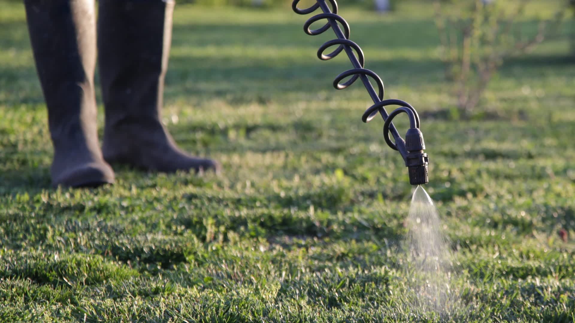 'An absolute joke': US officials allow pesticide linked to cancer and species extinction