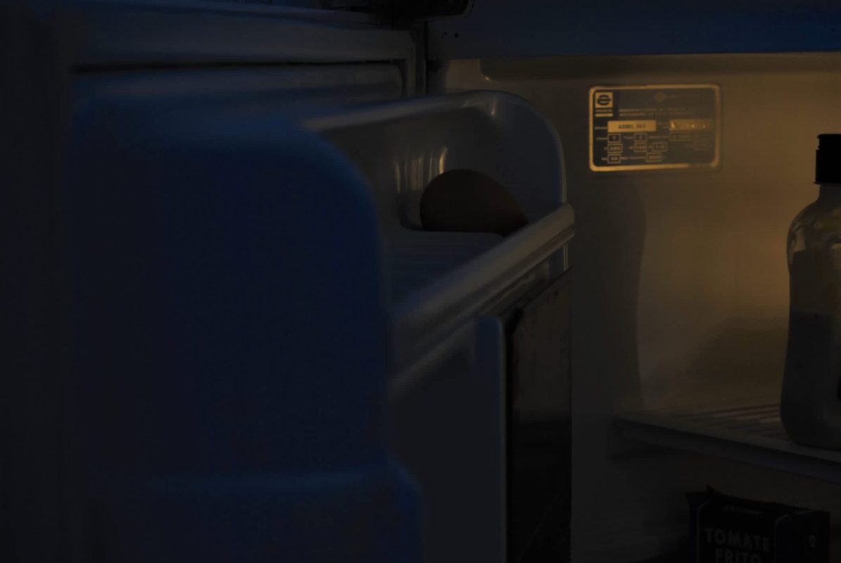 A partially opened refrigerator showing an egg on a shelf with a shadowy interior.