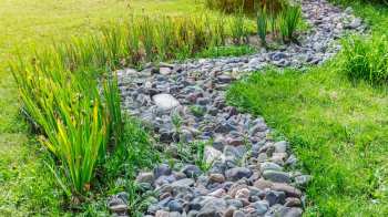 A landscaped garden featuring a winding path of smooth stones bordered by vibrant green plants and grass.