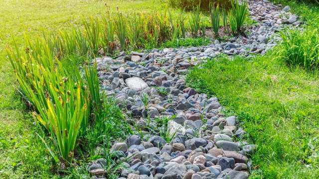 A landscaped garden featuring a winding path of smooth stones bordered by vibrant green plants and grass.