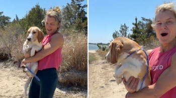 A woman in a pink tank top holds a beagle on a sandy path surrounded by greenery under a sunny sky.