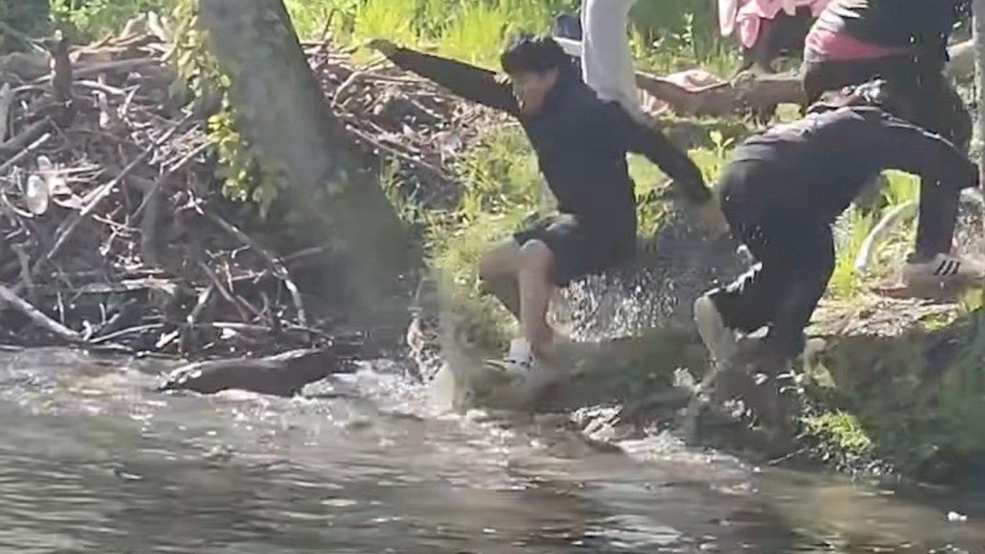 A boy backs away from a charging beaver in shallow water onto a riverbank while two others observe from behind.