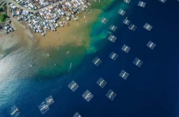 A coastal village with colorful houses beside water with fish farming cages.