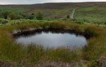 A tranquil pond surrounded by lush greenery and rolling hills under a cloudy sky.