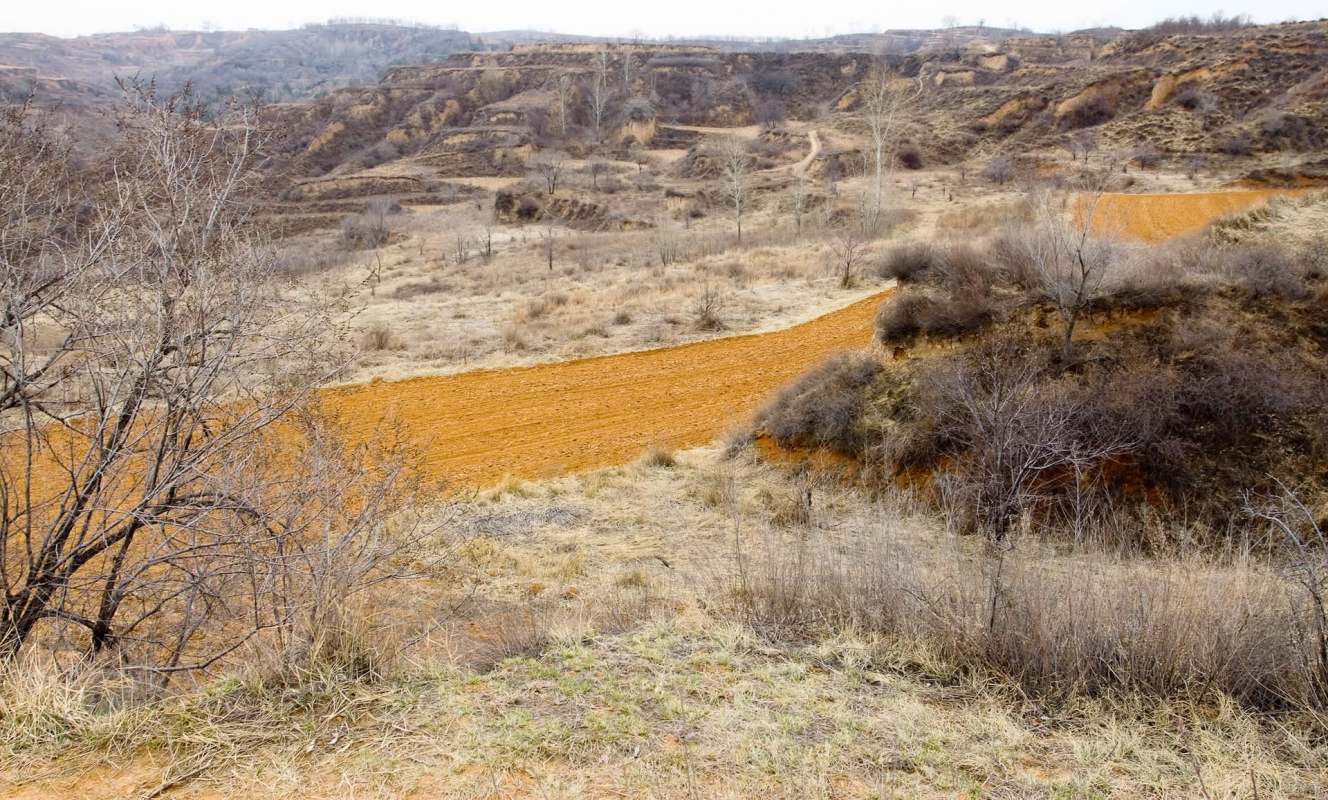 A winding orange dirt path through dry, hilly terrain with sparse vegetation and bare trees in the foreground.