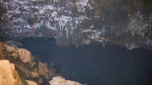 A dark, serene swimming hole surrounded by rocky limestone walls and sparse vegetation.