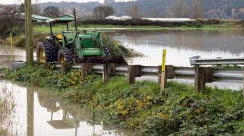 A green tractor sits partially submerged in floodwater near a road guardrail and overgrown vegetation.