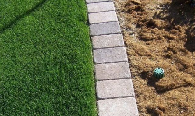 A divided landscape featuring lush green grass on one side and dry soil with a drainage cap on the other.