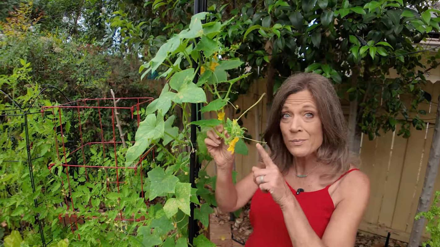 A woman in a red top points to a flowering plant in a lush garden with green foliage and a trellis.