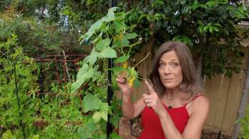 A woman in a red top points to a flowering plant in a lush garden with green foliage and a trellis.