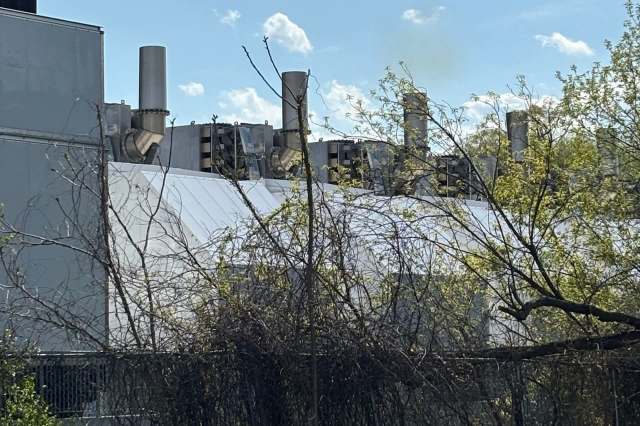 A view of industrial machinery and white rooftops partially obscured by overgrown branches under a blue sky.