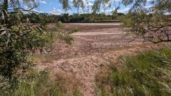 A dry, cracked landscape with sparse vegetation under a clear blue sky.