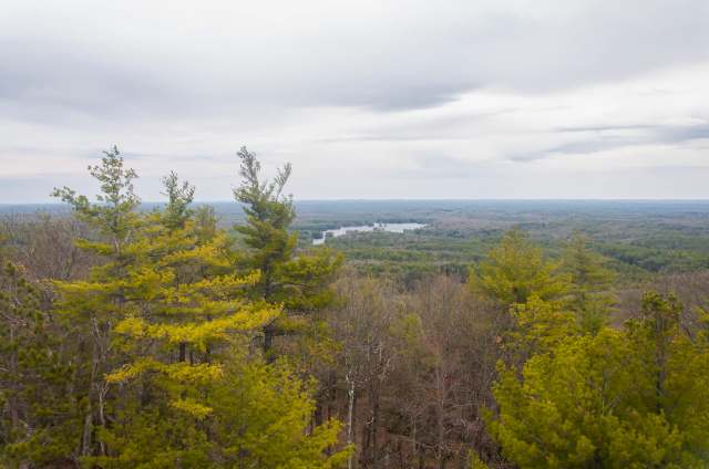 A panoramic view of a wooded landscape with a river winding through the greenery under a cloudy sky.
