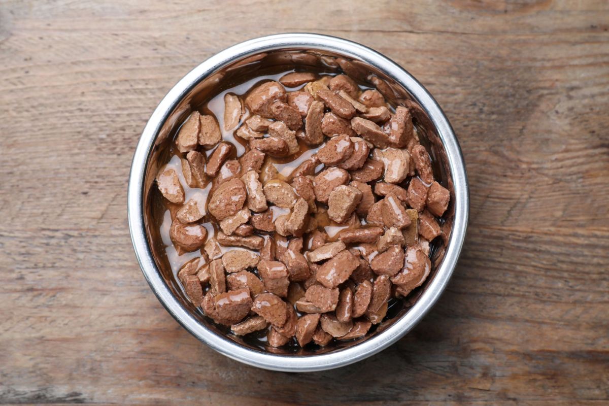 A metal bowl filled with wet pet food, featuring small brown kibble pieces.