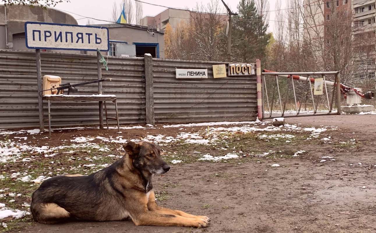 A dog rests in front of a sign for an abandoned town near Chernobyl, near a security post with a weapon displayed on a table.