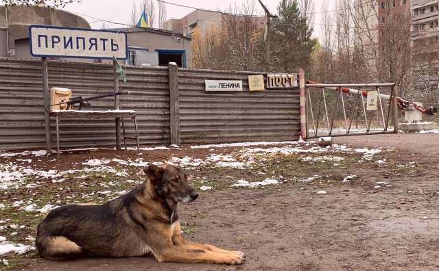 A dog rests in front of a sign for an abandoned town near Chernobyl, near a security post with a weapon displayed on a table.