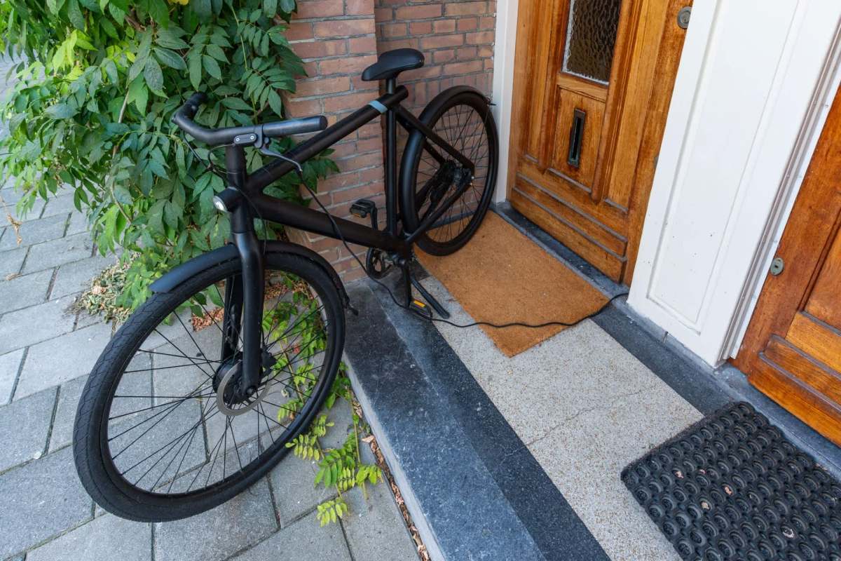 A black e-bike is parked next to a door and in front of a plant.