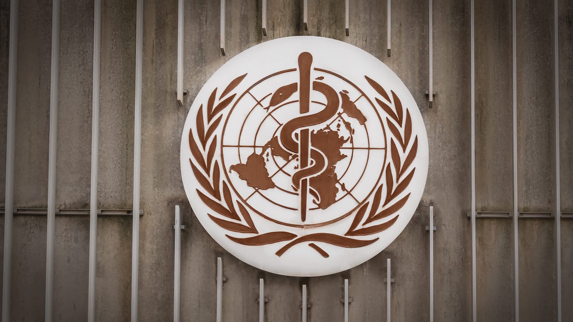 WHO sounds global alarm over Ebola outbreak in Congo and Uganda with no approved vaccine