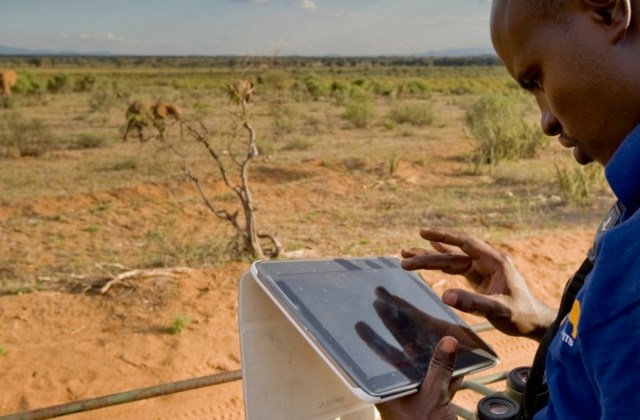 A person using a tablet outdoors with elephants grazing in the background.