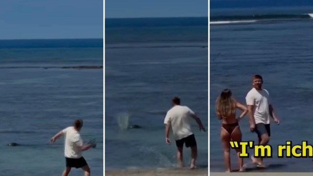 A man in a shirt throws an object at a seal in water and gestures toward the camera while next to a woman in a swimsuit.