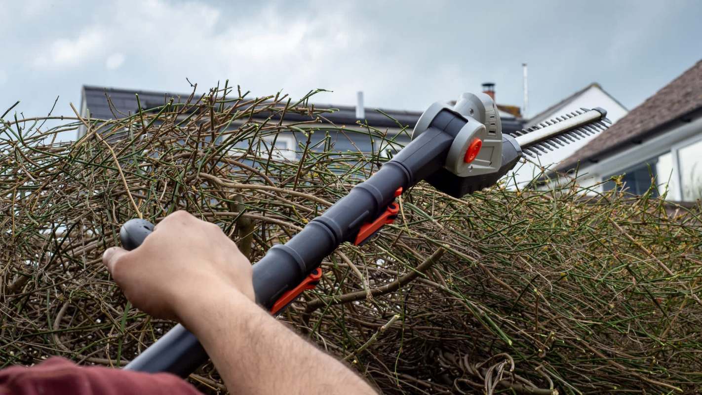 A person using a hedge trimmer to prune thick branches.