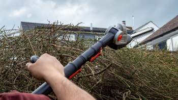 A person using a hedge trimmer to prune thick branches.