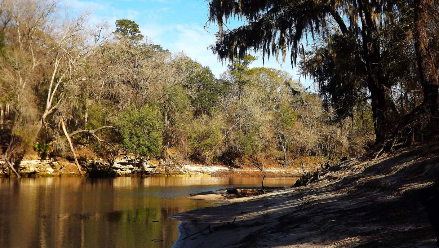 A serene riverbank surrounded by trees with bare branches and lush greenery under a clear blue sky.
