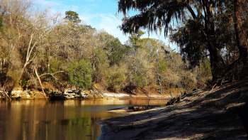 A serene riverbank surrounded by trees with bare branches and lush greenery under a clear blue sky.