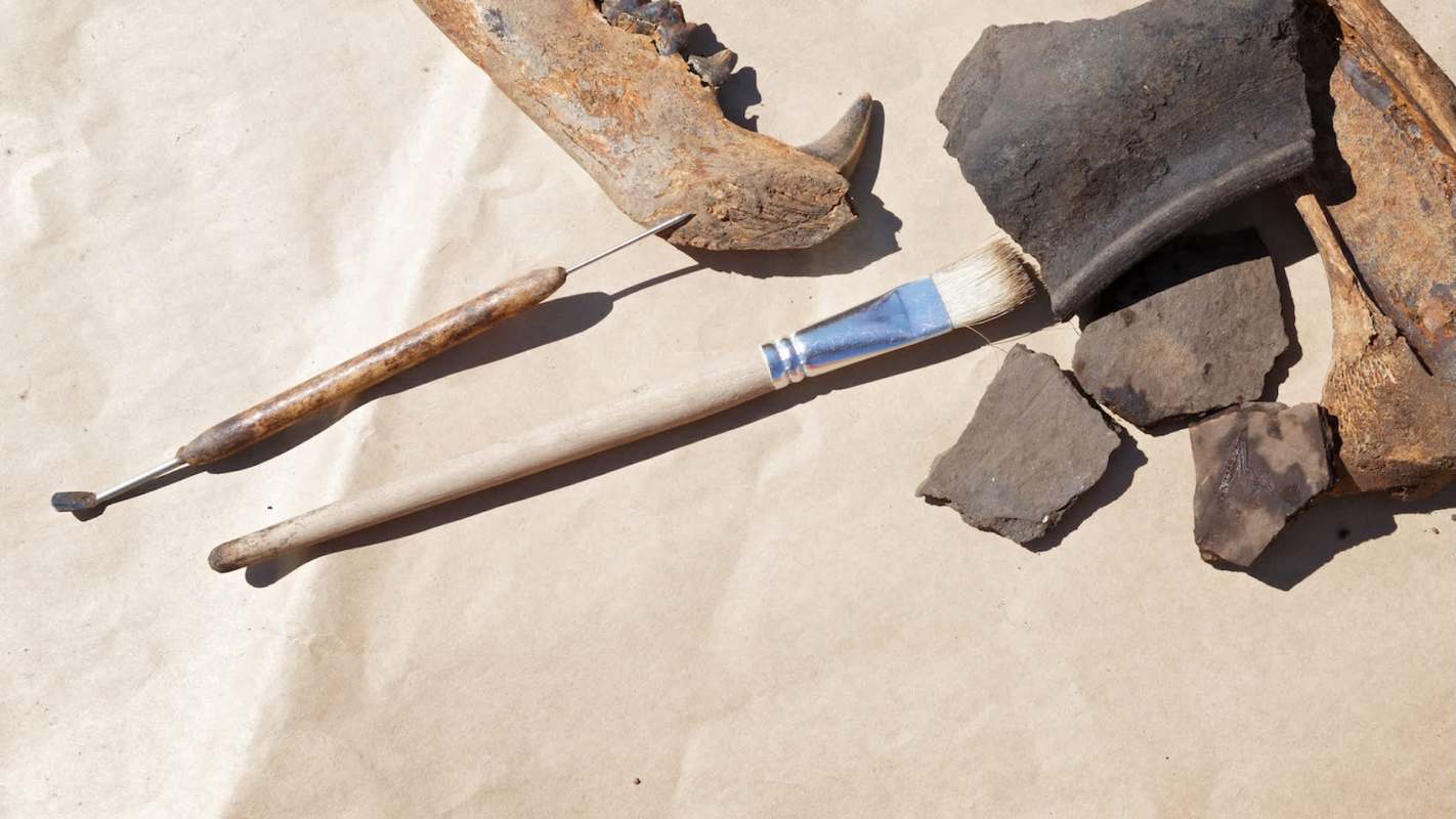 A collection of excavation tools and rocks arranged on brown paper, including a brush and two pointed tools.