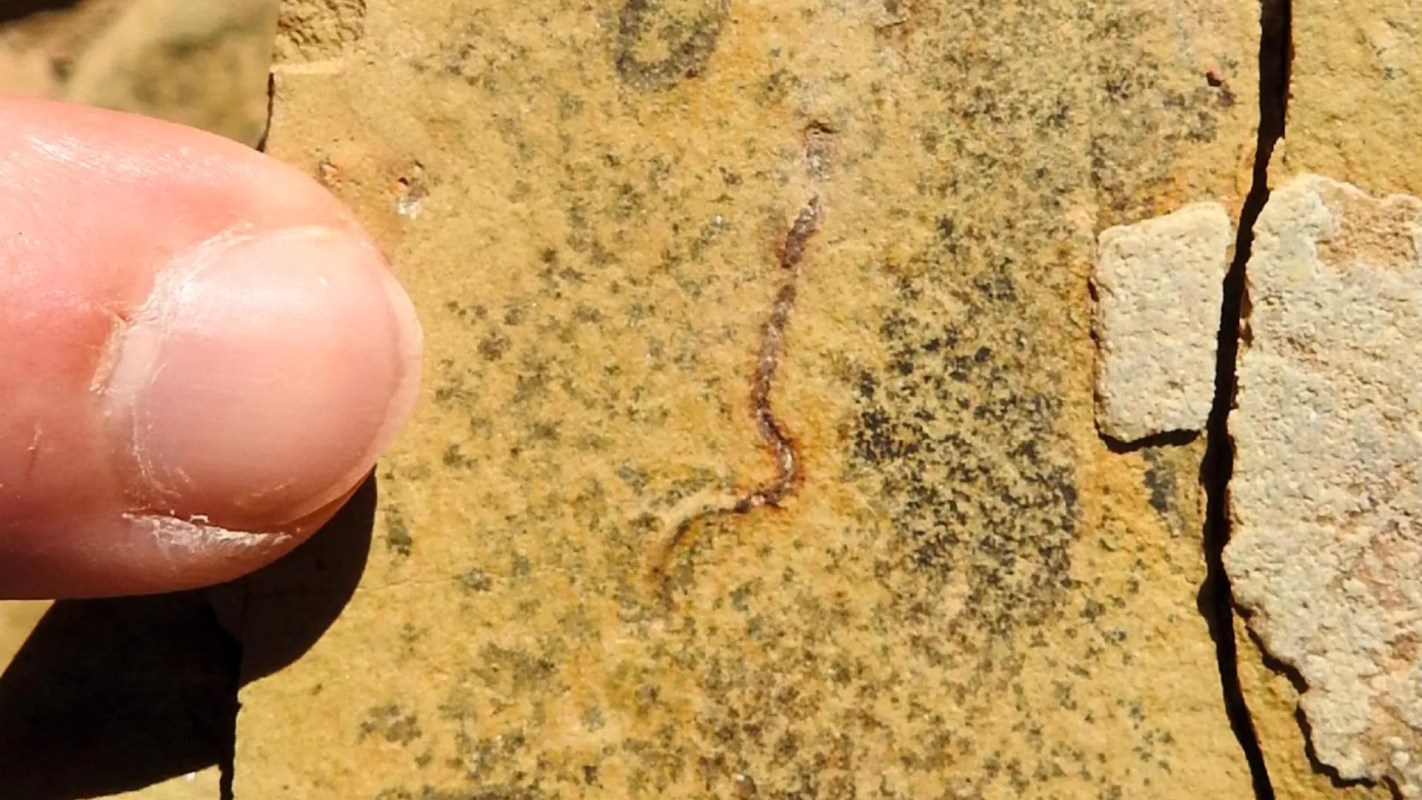A close-up view of a rock surface with a finger pointing at a faint, wavy line etched into the stone.