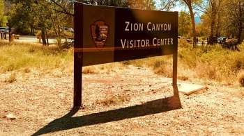 A sign for the Zion Canyon Visitor Center surrounded by grass and trees in a sunny landscape.