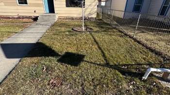 A well-maintained yard features a small tree, a walkway, and a chain-link fence under clear skies.
