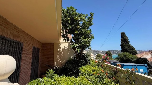 A lush garden with a citrus tree and flowers, overlooking a coastal view under a clear blue sky.