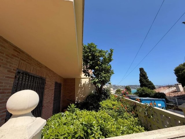 A lush garden with a citrus tree and flowers, overlooking a coastal view under a clear blue sky.