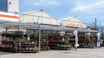 A garden center showcasing colorful flowers and potted plants.