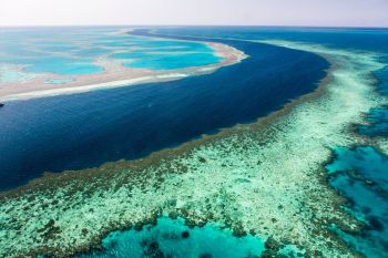 Aerial view of a vibrant coral reef with turquoise waters transitioning to deep blue ocean.