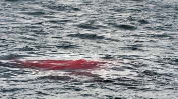 Red blood on top of dark, rippling ocean waters.