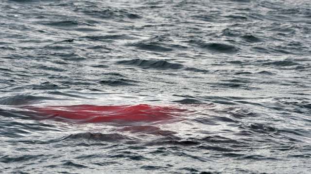 Red blood on top of dark, rippling ocean waters.