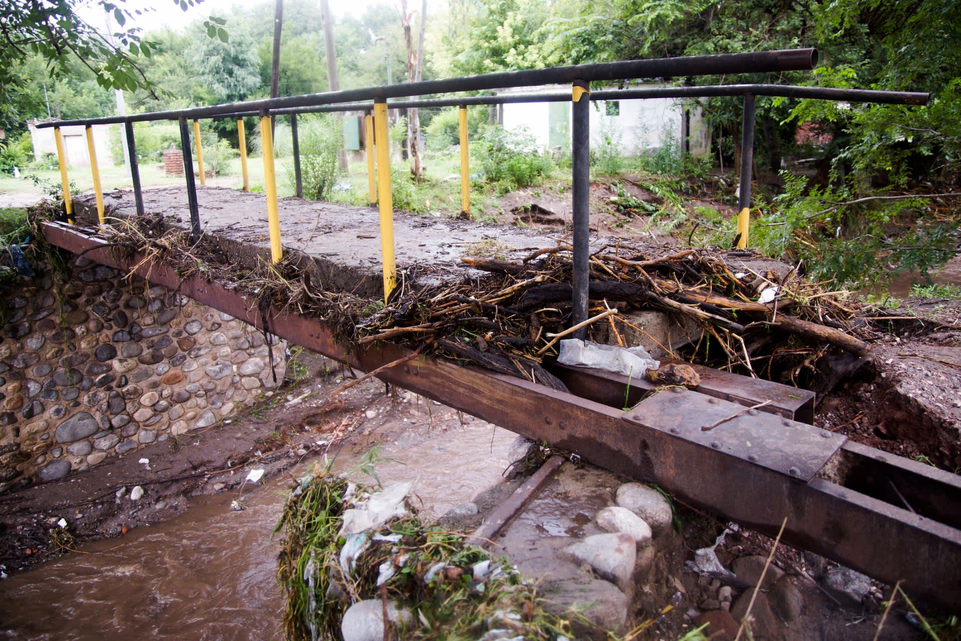 Drought, downpours, and displaced rodents are driving Argentina's hantavirus surge