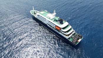 A large white and blue cruise ship with a green deck sailing on shimmering ocean waters.