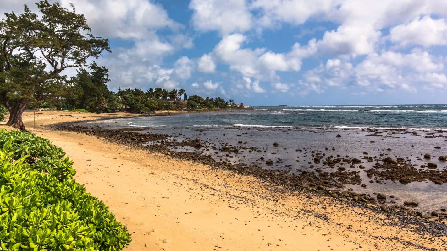 A sandy beach with rocky shorelines, bordered by foliage and palm trees.