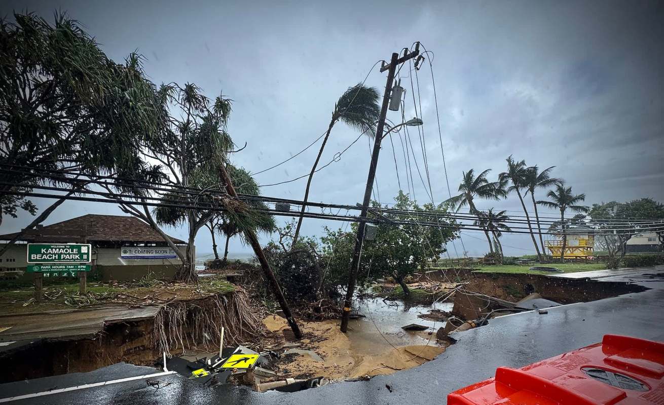 A damaged road in Hawai'i features downed power lines, uprooted trees, and an eroded section near the shoreline.