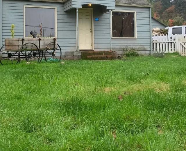 A small house with a light blue exterior, a grassy yard, and a decorative tree near a white picket fence.
