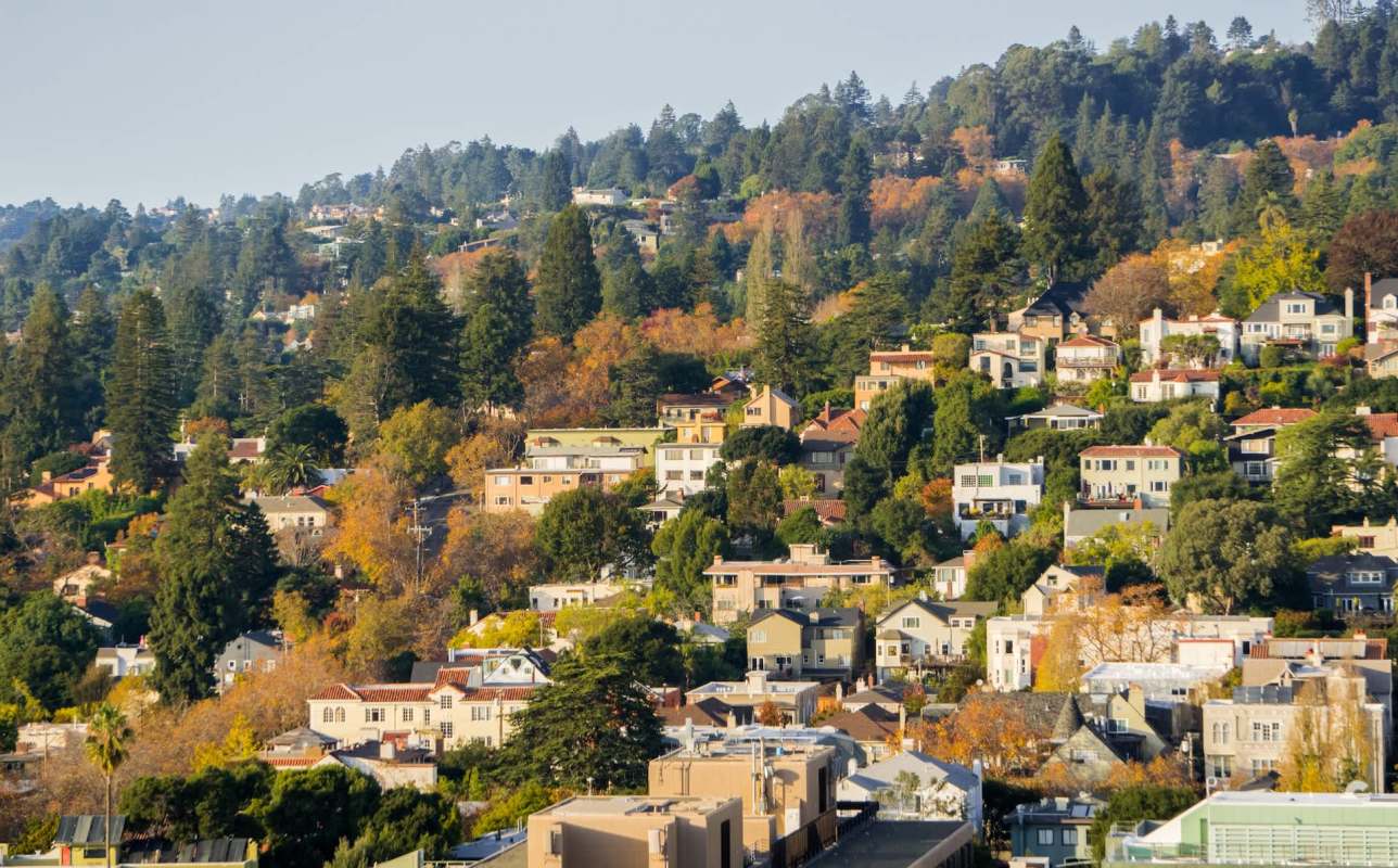 A residential hillside in autumn, featuring homes surrounded by colorful trees and lush greenery.