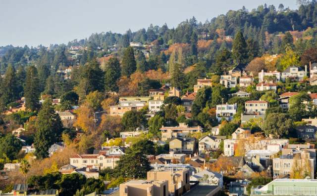 A residential hillside in autumn, featuring homes surrounded by colorful trees and lush greenery.