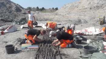 Workers excavate and assemble wooden structures at a sandy archaeological site under a clear blue sky.