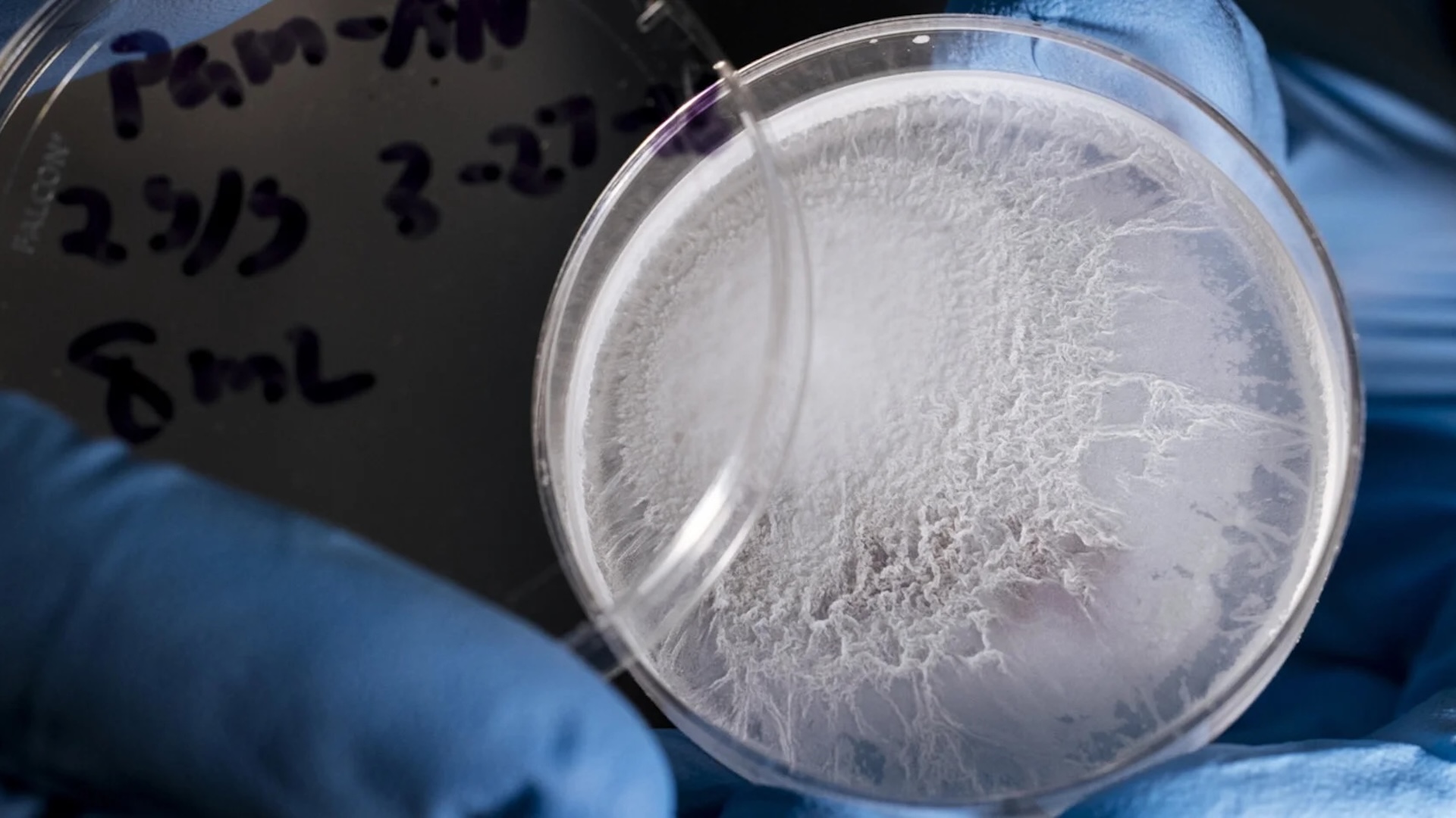 Scientists unveil solar gel that pulls safe drinking water from desert air in extreme drought