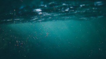 Colorful microplastic particles float underwater, with soft light filtering through the surface.