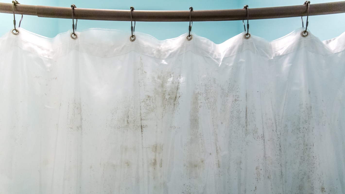 A partially closed shower curtain with visible stains, hanging on a rod against a turquoise wall.