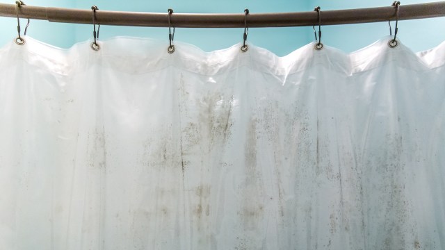 A partially closed shower curtain with visible stains, hanging on a rod against a turquoise wall.